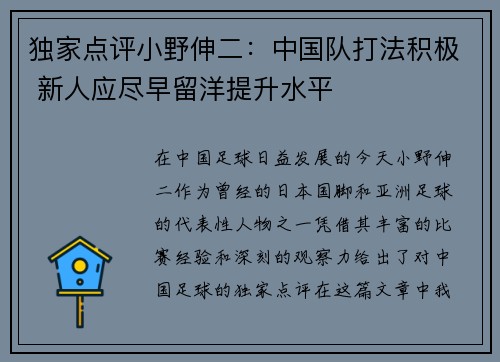 独家点评小野伸二：中国队打法积极 新人应尽早留洋提升水平